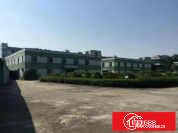 高埗标准一楼或二楼1500平方出租带现成装修办公室装修