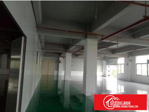 重河新房源！！原房东楼上200平小面积厂房出租采光好