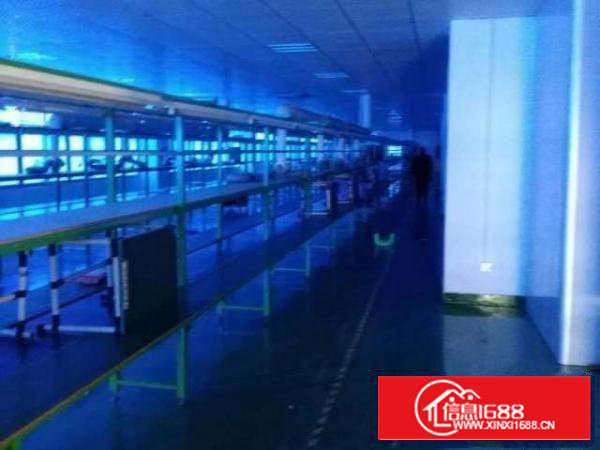 西乡带精装修厂房整层1800平米招租