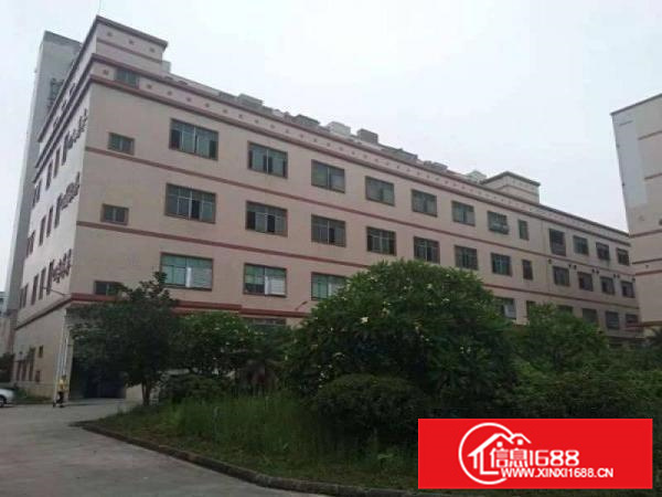 新虚长布全新厂房出租，业主直租