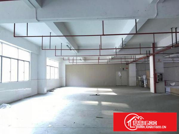 300平带平台/货梯空地大，已隔好！可短租