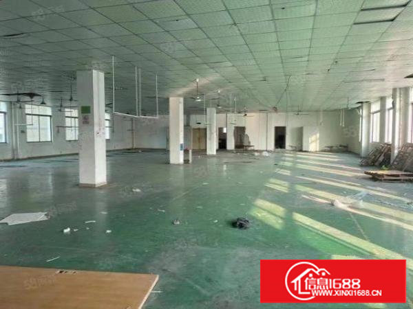 塘厦沙湖独院标准2楼1300平方！全层地坪漆天花吊顶装修