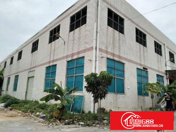 平湖机荷高速附近有新出物流仓库1000平米招租