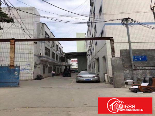 樟木头镇樟深大路边上带装修电水现成厂房500平方，即可以生产