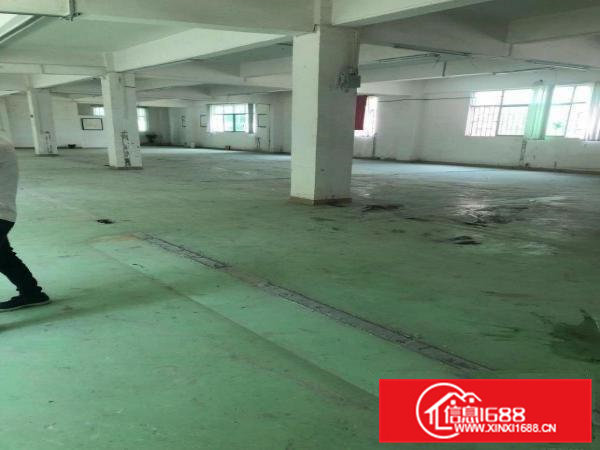 标准厂房2楼整层900平方出租也可分租