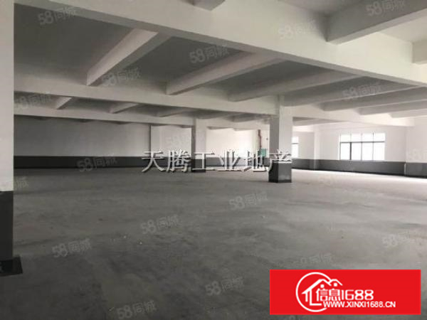 全新水泥结构楼层式带多台货梯均安世友工业园厂房出租