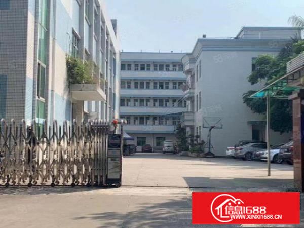 三中村新出一楼600平二楼850平带装修厂房出租