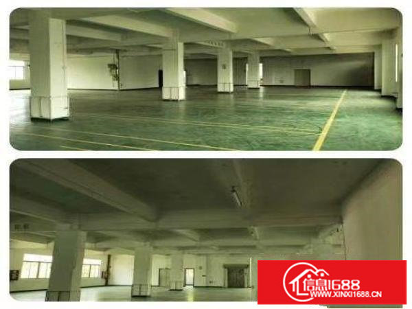 真实:牛湖独院12850平方业主直租