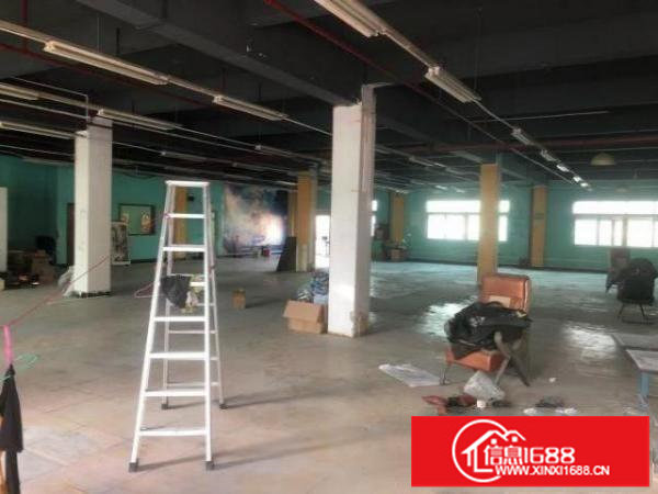 超低价厂房10元不到