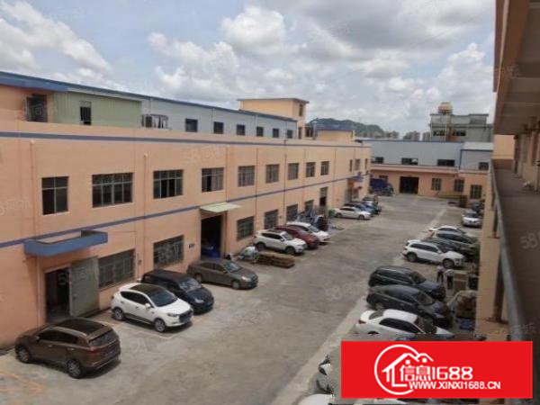 清溪松岗原房东楼上500平出租！