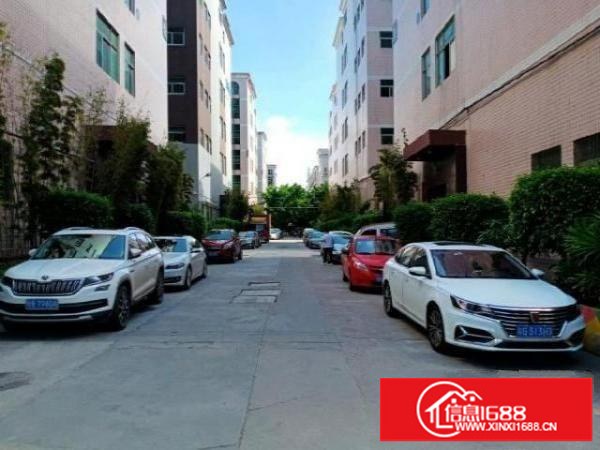 和平一楼1900厂房出租层高6米