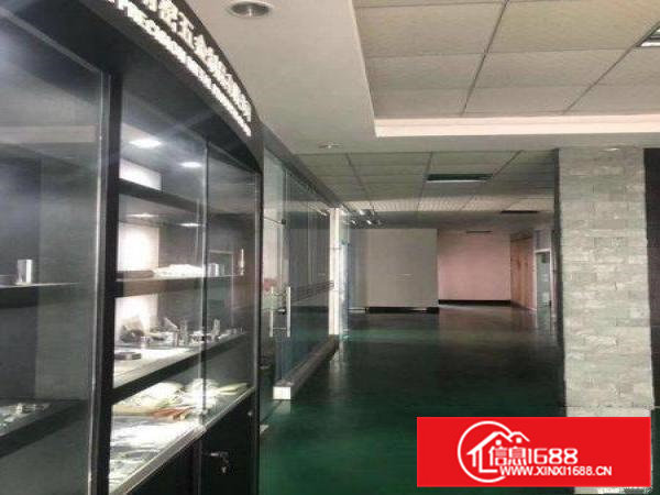 大岭山镇新出花园式独门独院5500平方带豪华装修