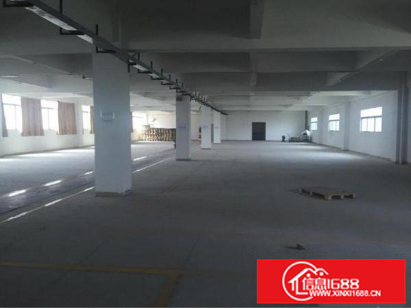 横岗独门独院14500平方出租，可分租