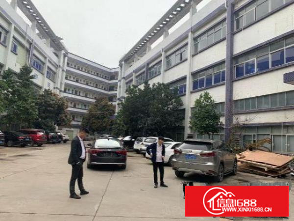 塘厦桥陇高速路口新出花园式厂房1楼1100平，2楼1100平