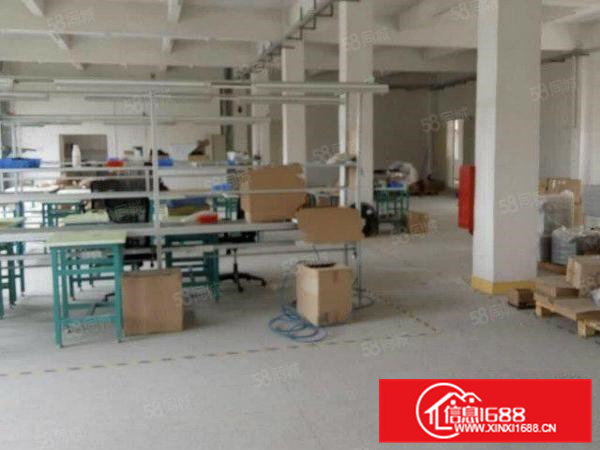 行业不限大朗巷头全新独院一楼480平方厂房可办环评