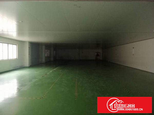 东莞市桥头镇华夏工独院原房东墙到顶单一层，带精装修办公楼