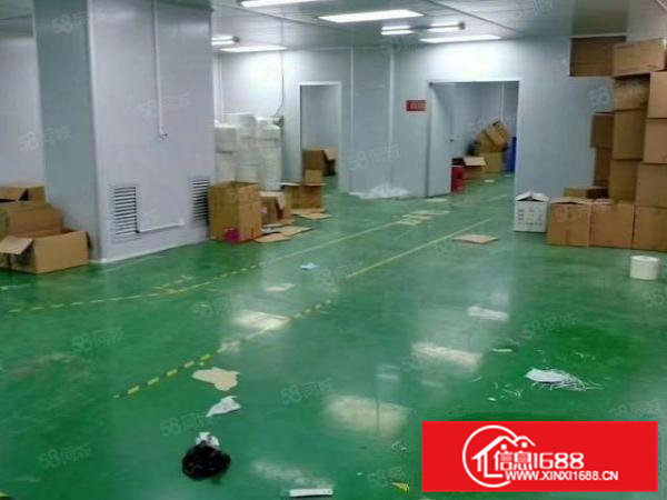 凤岗金凤凰独院4000平方厂房仓库出租