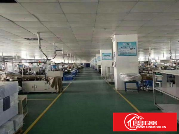 坪山碧岭一楼厂房2000平米出租可分