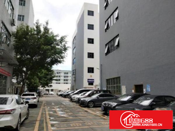 龙华大浪整层600平方出租