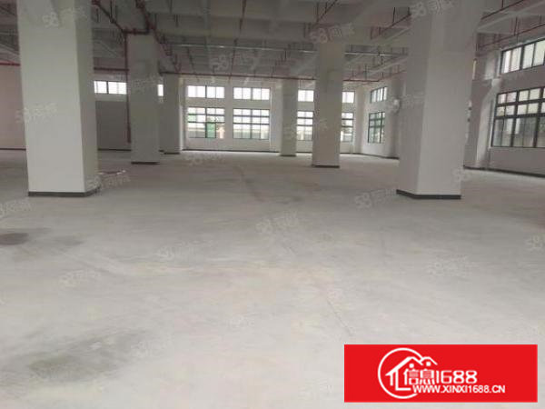寮步工业聚集区新厂房24000平方招租，全新厂房，4台3吨梯