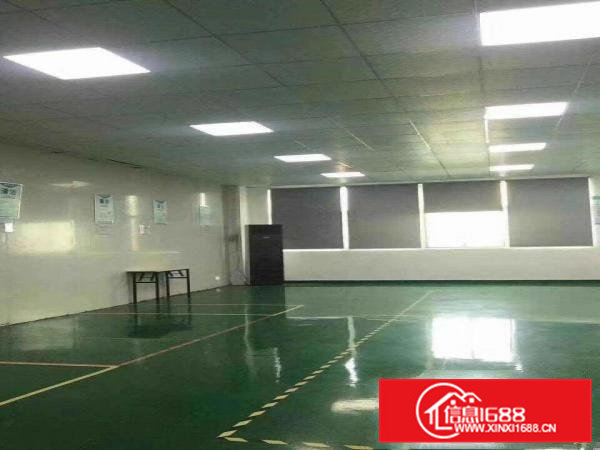 清溪新出楼上带豪华装修水电齐全办公室厂房480平出租