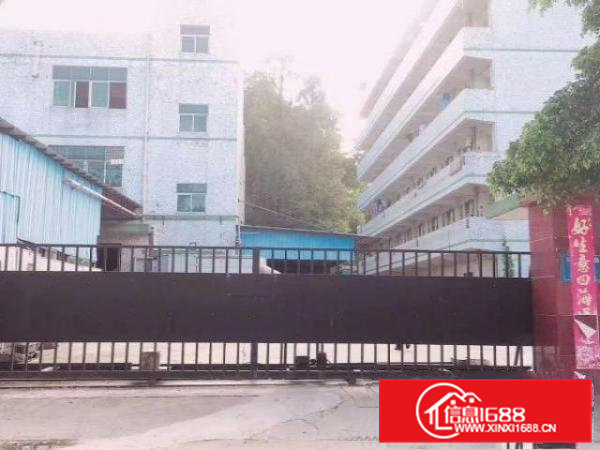 凤岗村委原房东本地人独门独院厂房出租4900平整租22可谈