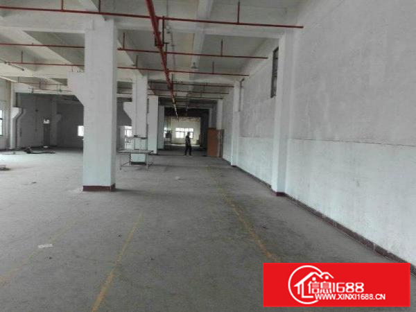 沥林标准独院厂房6200平米出租（可分租）