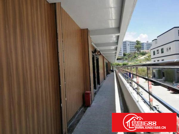 带装修288平，电商，仓库，贸易，小生产