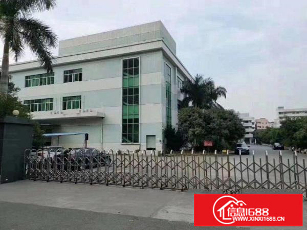 标准一楼厂房1000平方