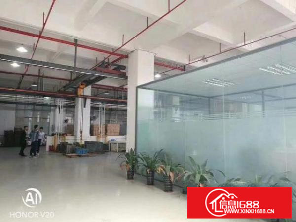 原房东！高速旁，南栅豪华装修一楼1300平，6米高。价格实惠