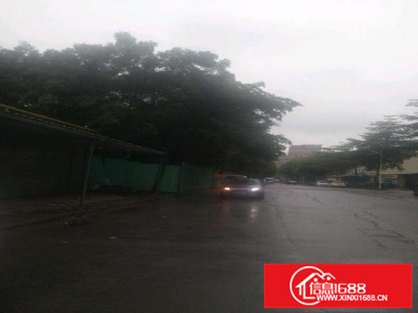 黎贝岭仓库厂房出租，华为旁边