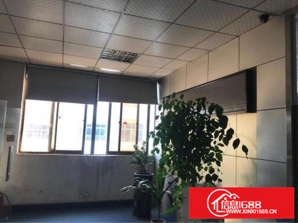 观澜桂花路边超低价16元租1300平整层带装修厂房