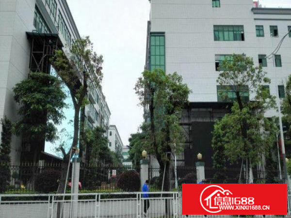 新出大浪嘉安达科技园3楼380平方带装修招租