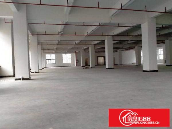 大朗洋乌蔡边原房东全新厂房1000平方出租可办环评