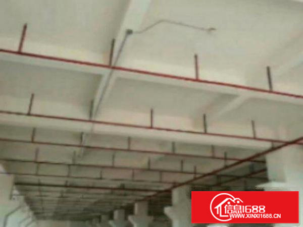 高埗标准一楼重工业厂房1500平方火爆招租管理规范，厂房水电