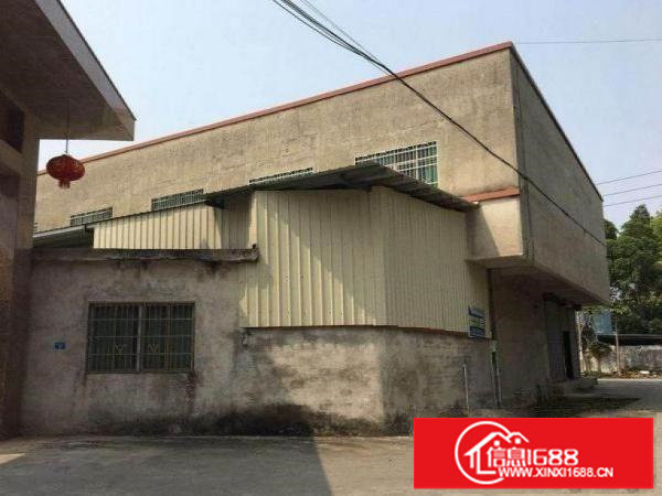 平湖新出独门独院标准厂房3300平方米出租可分租