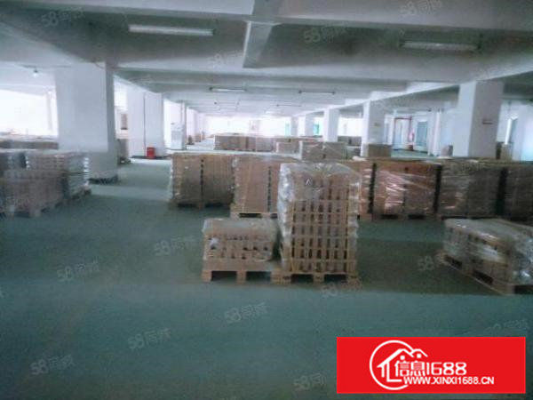 靓盘东坑彭屋红本厂房一楼3000平现成办公室可办环评