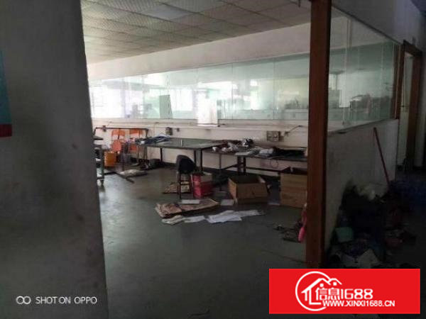 出租大岭山鸡翅岭500平厂房招租，价格实惠，水电齐全