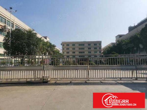 茶山镇前一秒新出43000平花园式独院带房产证国土证