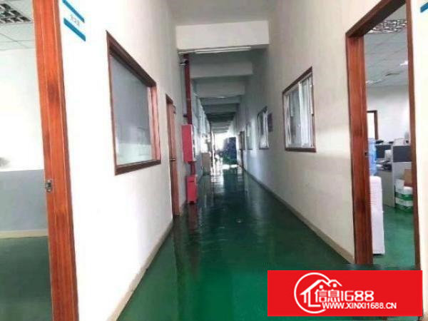 梅观高速附近1楼厂房1150平出租