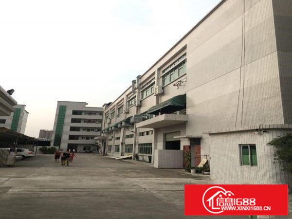 高埗新出楼上2楼4000平方带办公室装修出租电子、外贸等行业