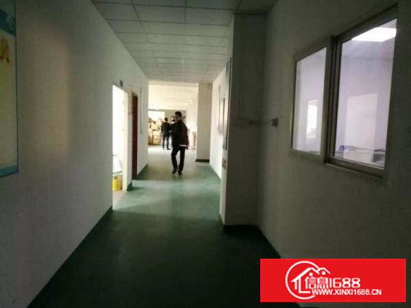 观澜至龙华龙观快线路边二楼1000平米一手房东出租