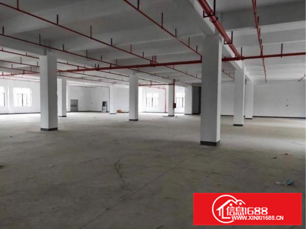 惠州惠东标准厂房1500平出租（可分租），证件齐全