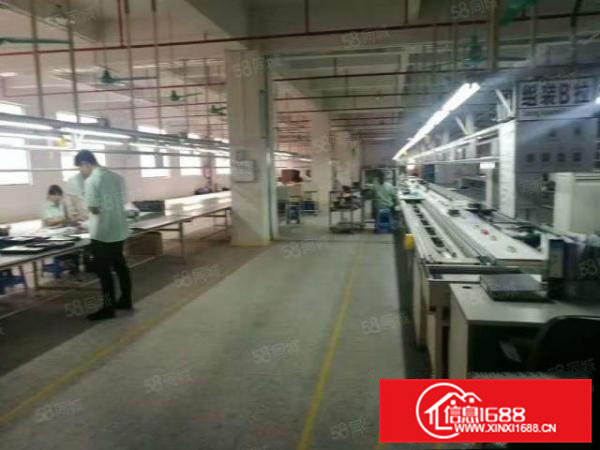 桥头镇新出原房东标准独院。