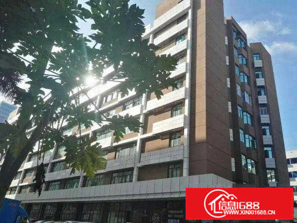 龙岗坪地低碳城产业园独院厂房适合做上市公司医院