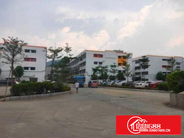 石岩新出楼上1000平方带装修厂房出租