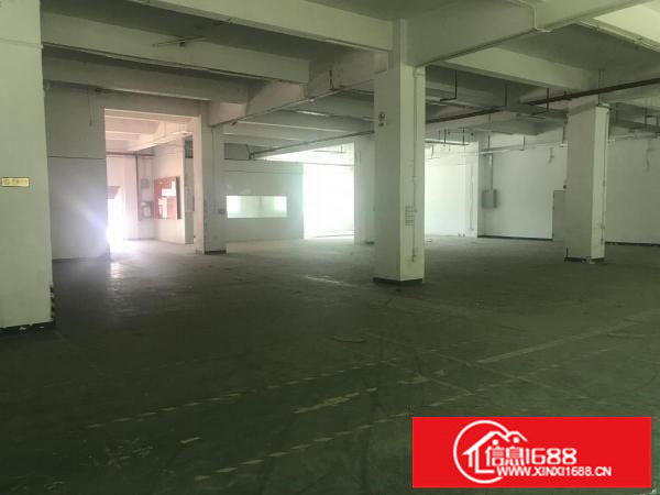 坂田上雪科技园附件新出300平方一楼场地
