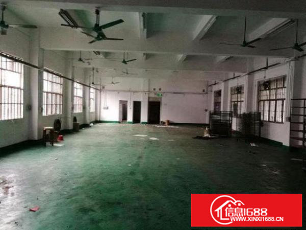 龙岗中心城龙西务地铺新出楼上650平带装修厂房出租
