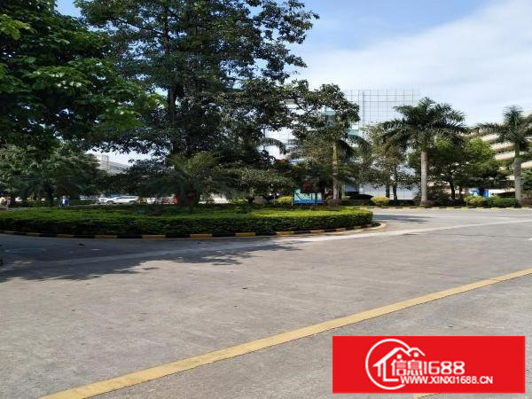 业主直租深圳东站旁产业园5000平米大小面积招租