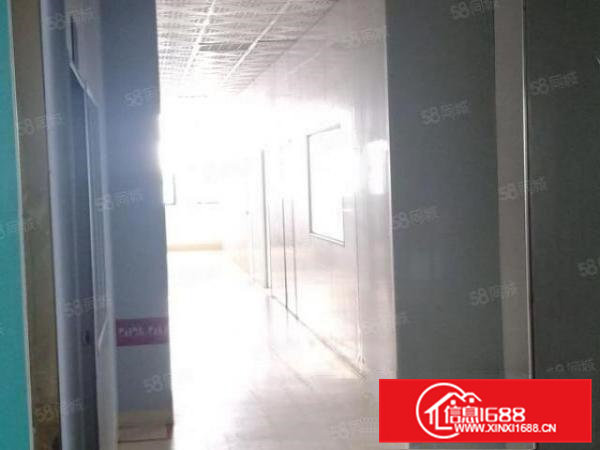 新出电子厂三楼1600平米带豪华装修电梯标准厂房业主直接租